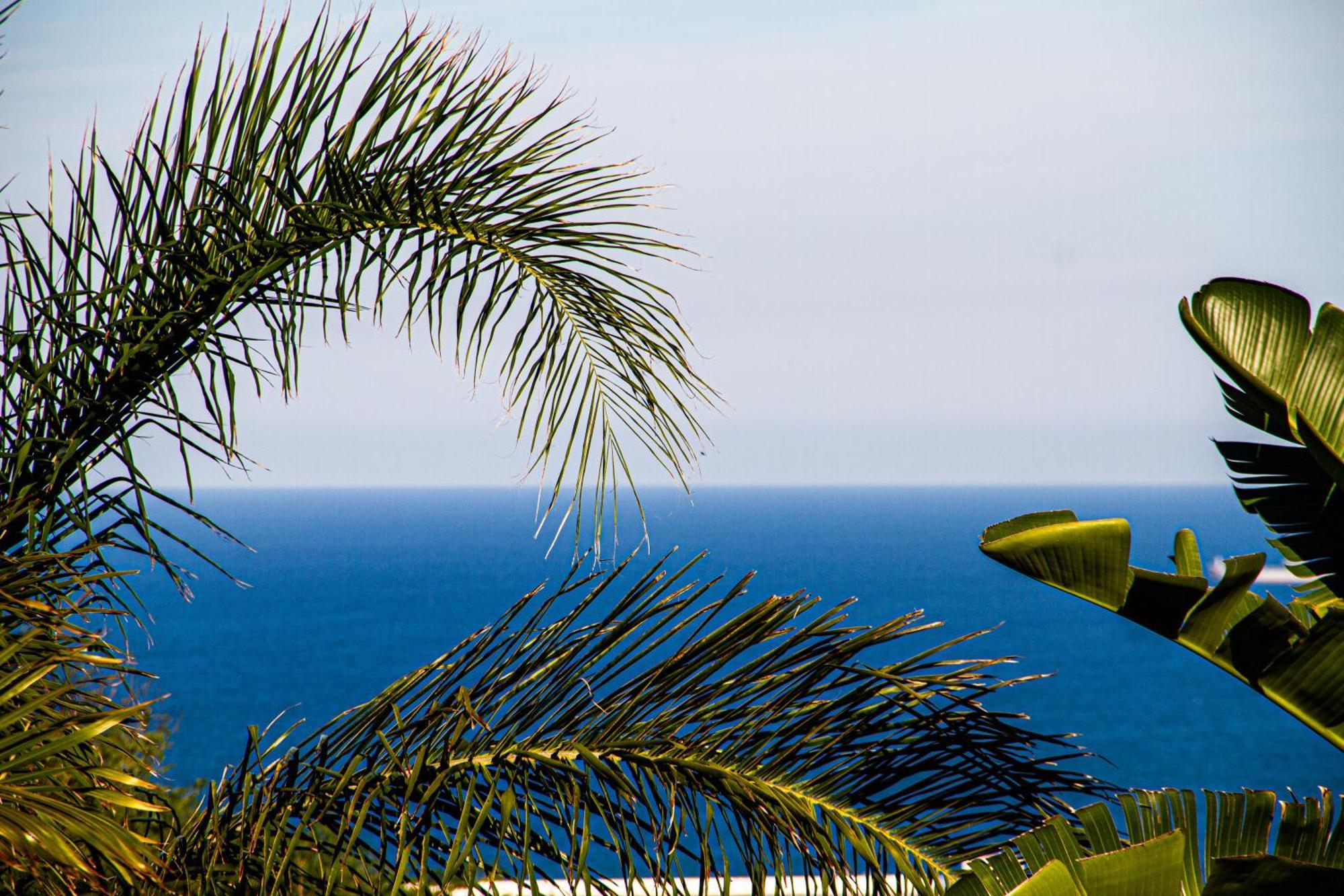 La Loggia Bed And Breakfast Durban Exterior foto